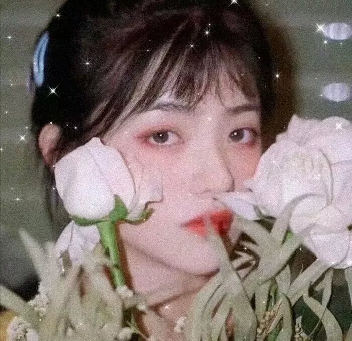 我心属愚你